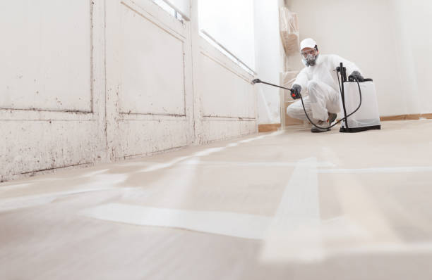 24/7 Emergency Mold Remediation experts in Annandale, VA