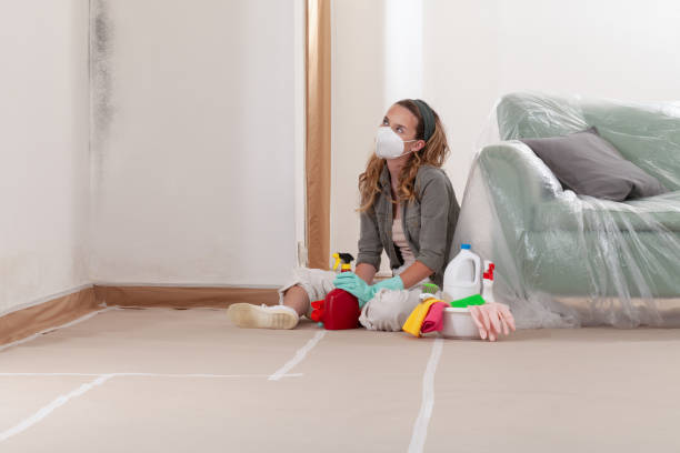 Reliable Mold Remediation contractor in Annandale, VA by Cheap Mold Removal